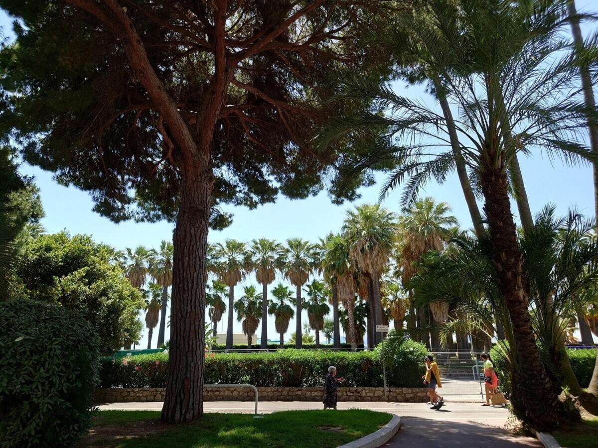 Sunrise&Sunset Palm Beach Croisette Cannes Extérieur photo